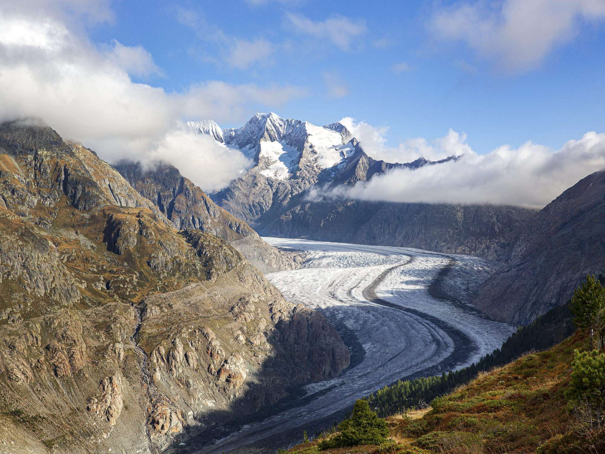 Le glacier d'Aletsch en été, avec des masses de glace visibles, entourées de pentes de montagne vertes et de sommets en partie enneigés.
