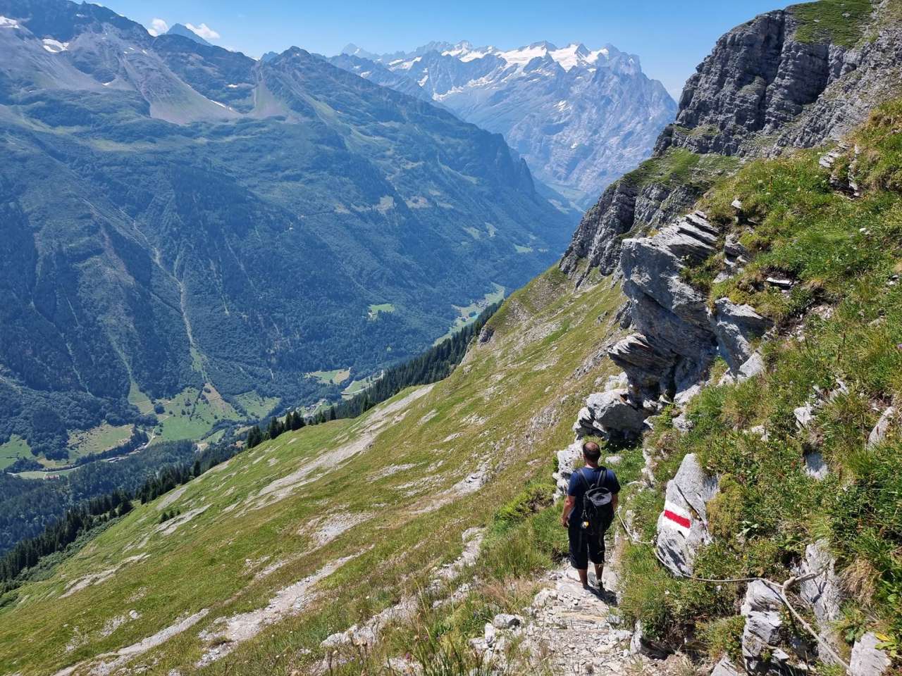 Une personne se promène en été près de l'Engstlenalp, entourée de vertes prairies et d'impressionnants sommets de montagne en arrière-plan.